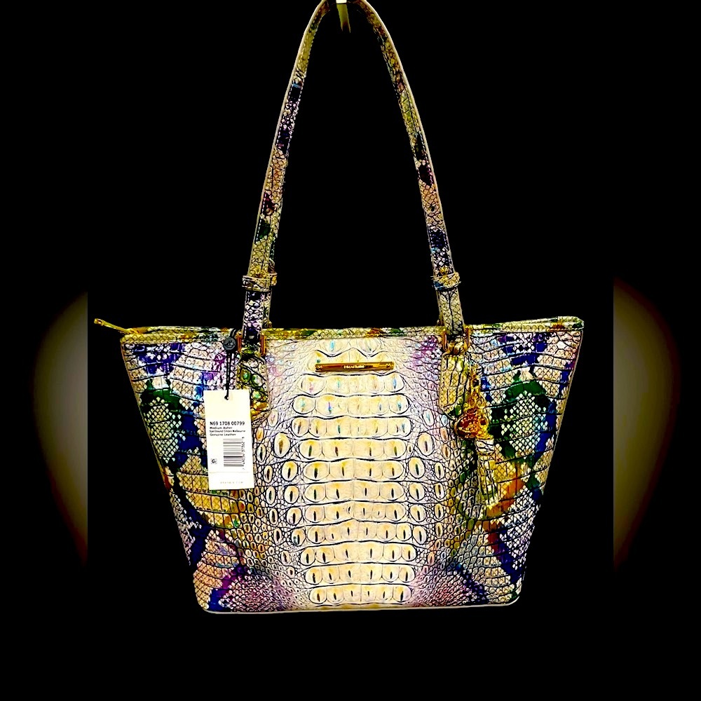 Brahmin Medium Asher in Spellbound